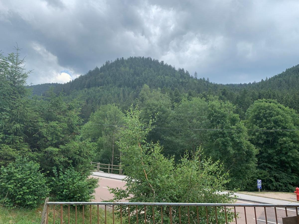 Gite De L'Ours La Bresse Exterior foto
