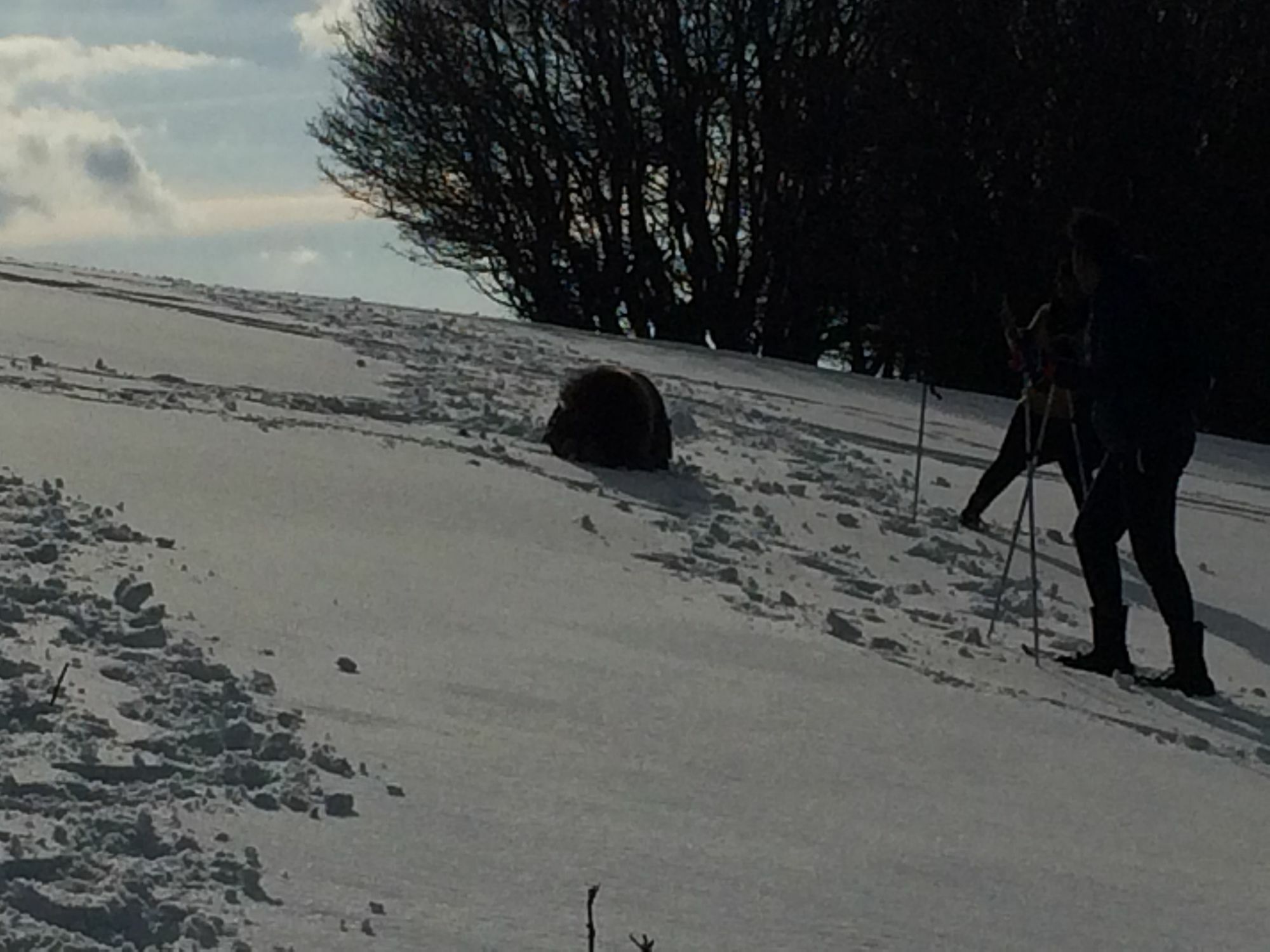 Gite De L'Ours La Bresse Exterior foto